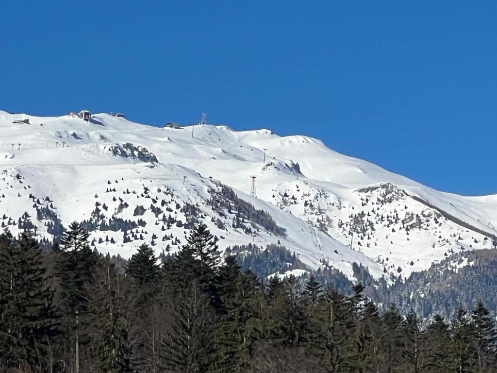סינאיה Coca Apart Mountain View מראה חיצוני תמונה