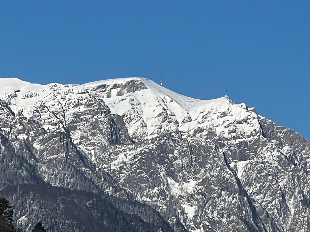 סינאיה Coca Apart Mountain View מראה חיצוני תמונה