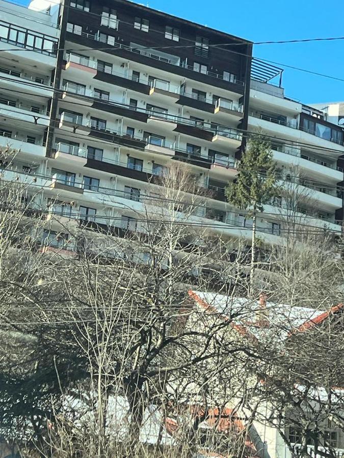 סינאיה Coca Apart Mountain View מראה חיצוני תמונה