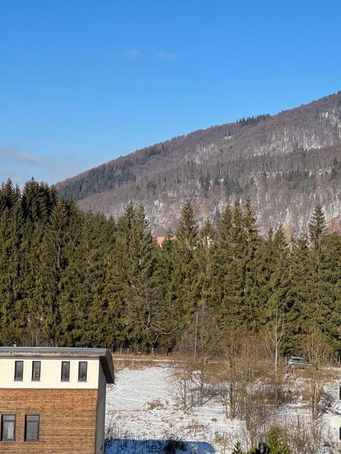 סינאיה Coca Apart Mountain View מראה חיצוני תמונה