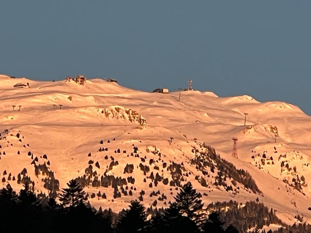 סינאיה Coca Apart Mountain View מראה חיצוני תמונה