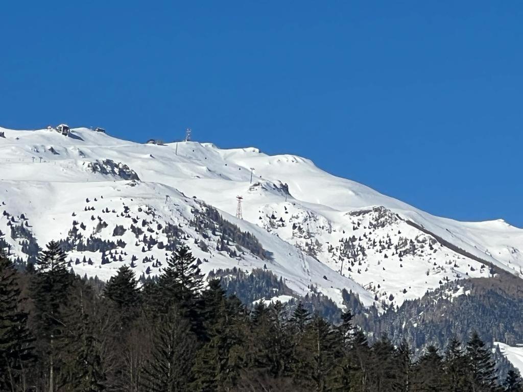 סינאיה Coca Apart Mountain View מראה חיצוני תמונה